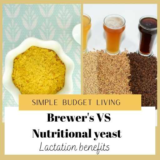 Brewer's VS nutritional yeast: nutritional benefits for lactation