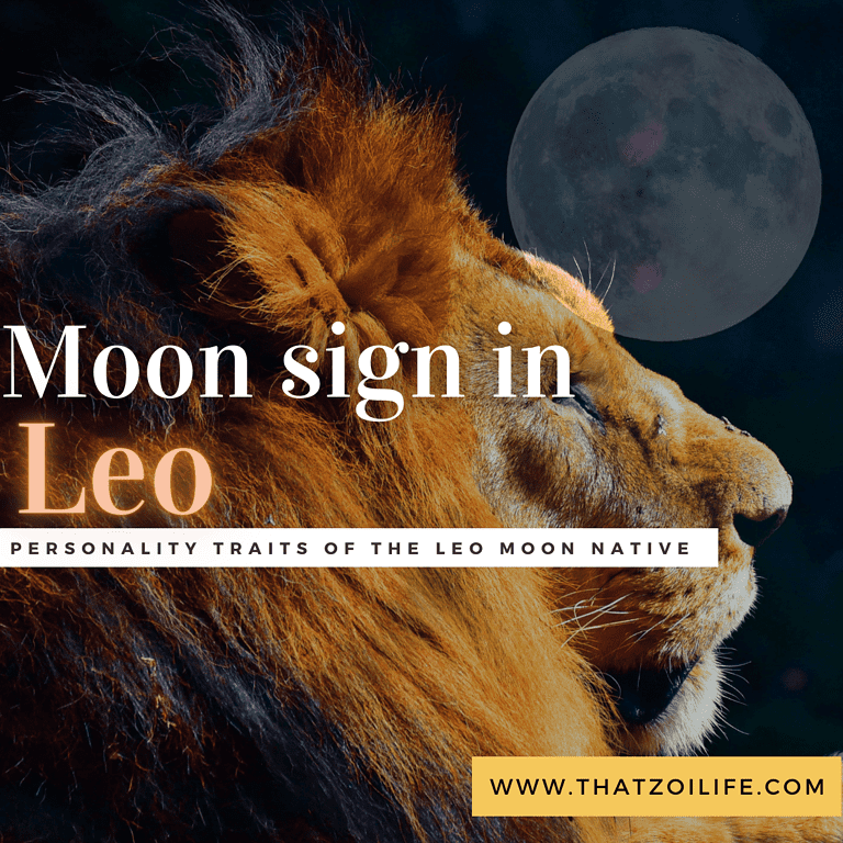 An up close profile view of a lion with the moon at the top right of the screen. Text reads "Moon sign in Leo/ Personality traits of the Leo moon native"